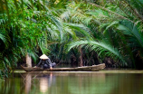 探究米什莱热带雨林的生态之美
